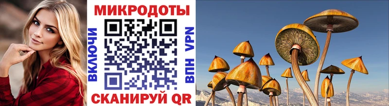 сколько стоит  Верхняя Салда  Галлюциногенные грибы Psilocybe 